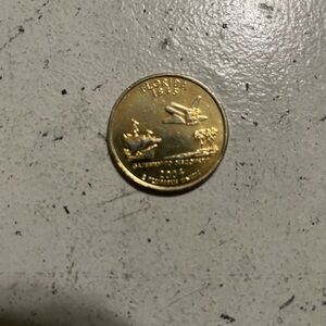 Gold plated Florida Commemorative Coin